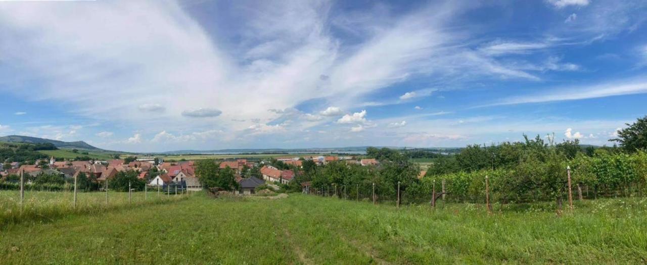 Prazdninovy Dum Na Palave S Vinnym Sklepem Milovice  ภายนอก รูปภาพ