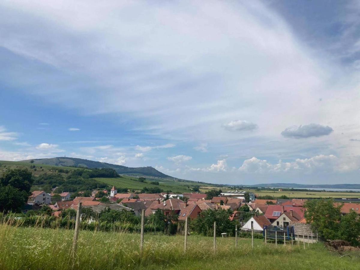 Prazdninovy Dum Na Palave S Vinnym Sklepem Milovice  ภายนอก รูปภาพ